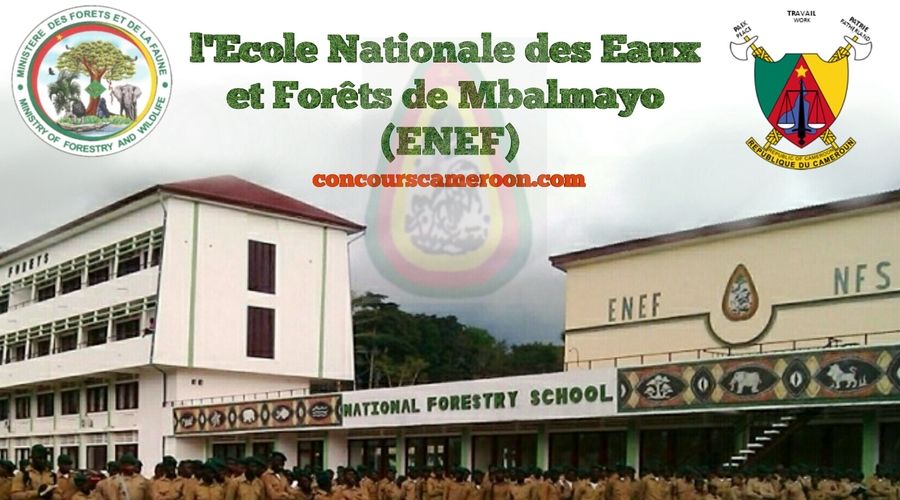 National Forestry School (ENEF) Mbalmayo 225 places available Forestry concours 2017-2018 Cameroon