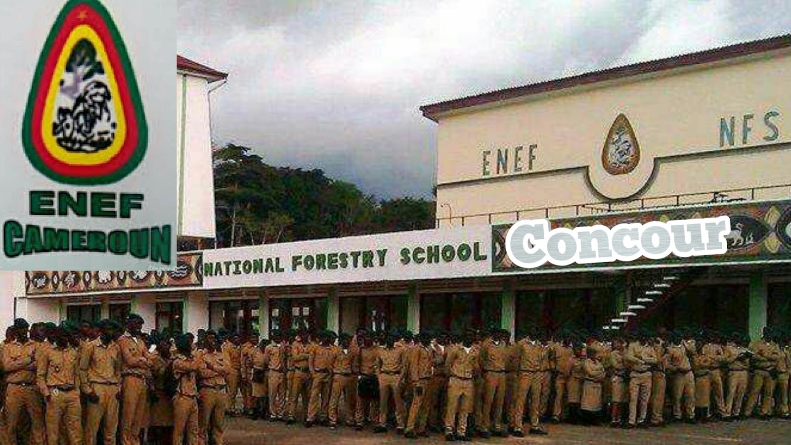 competitive entrance examination (Concours): National Forestry School Mbalmayo 2018-2019 Cameroon
