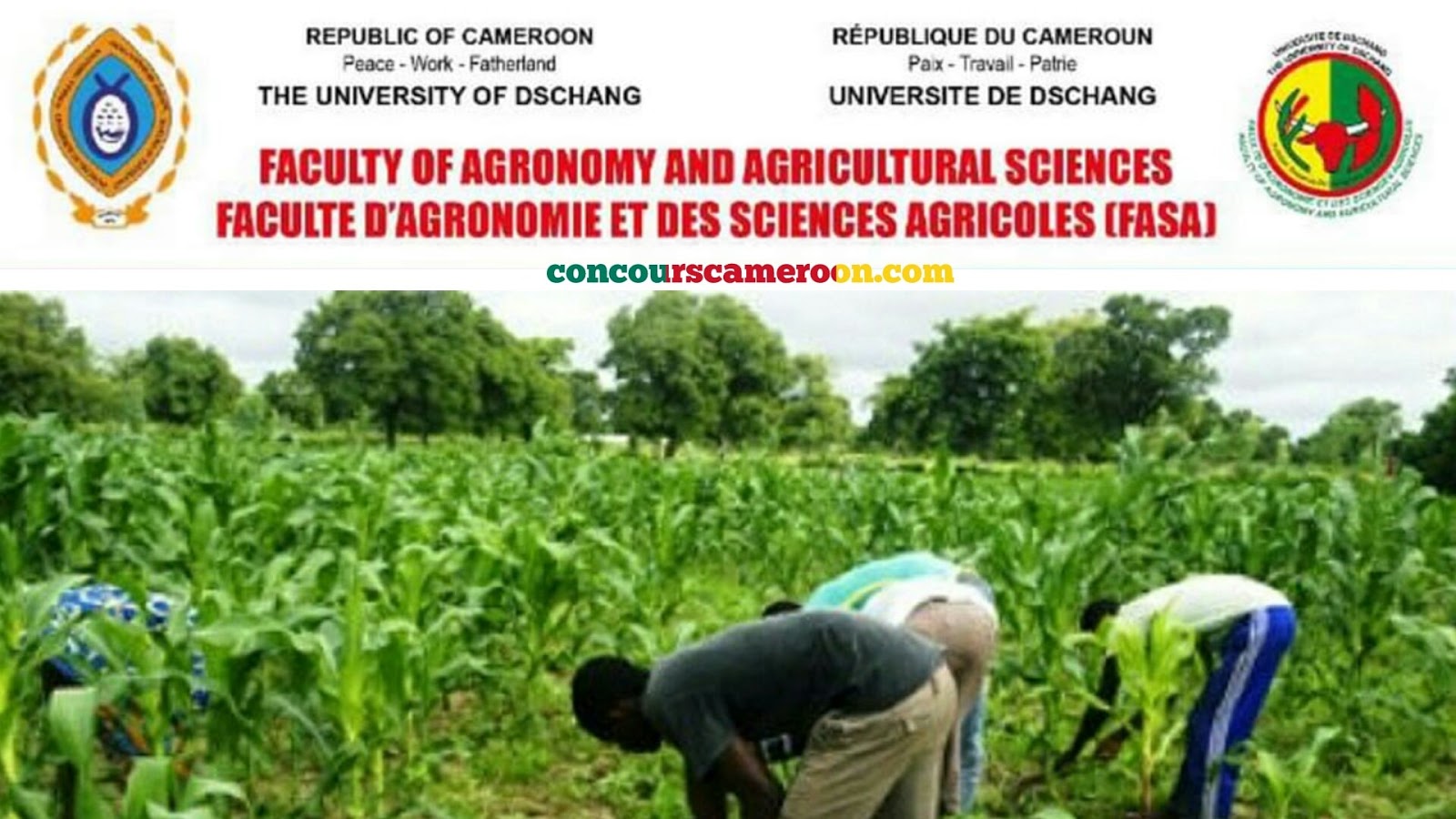 Anciennes épreuves Chimie-Physique du concours d’entrer à la Faculté d’Agronomie et des Science Agricole (FASA)