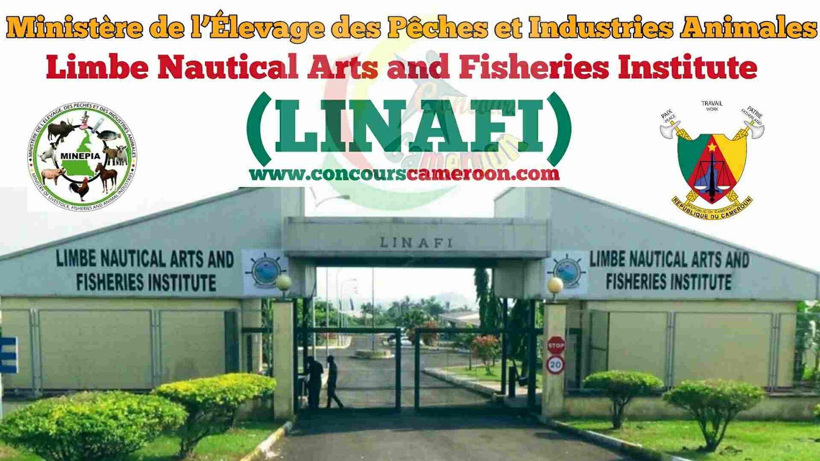 Concour Nautical Arts and Fisheries Institute (LINAFI) Limbe 2020/2021